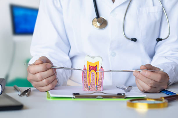 Best Broken or Cracked Tooth Emergency Dentist in Bluffton, OH